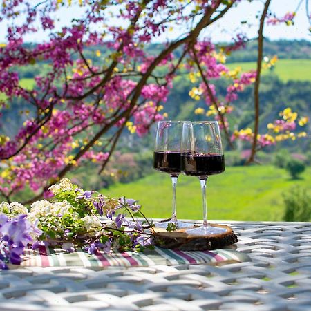 I Sicomori - Seme Di Carota - Glamping E Appartamenti Con Piscina A Saturnia Luaran gambar