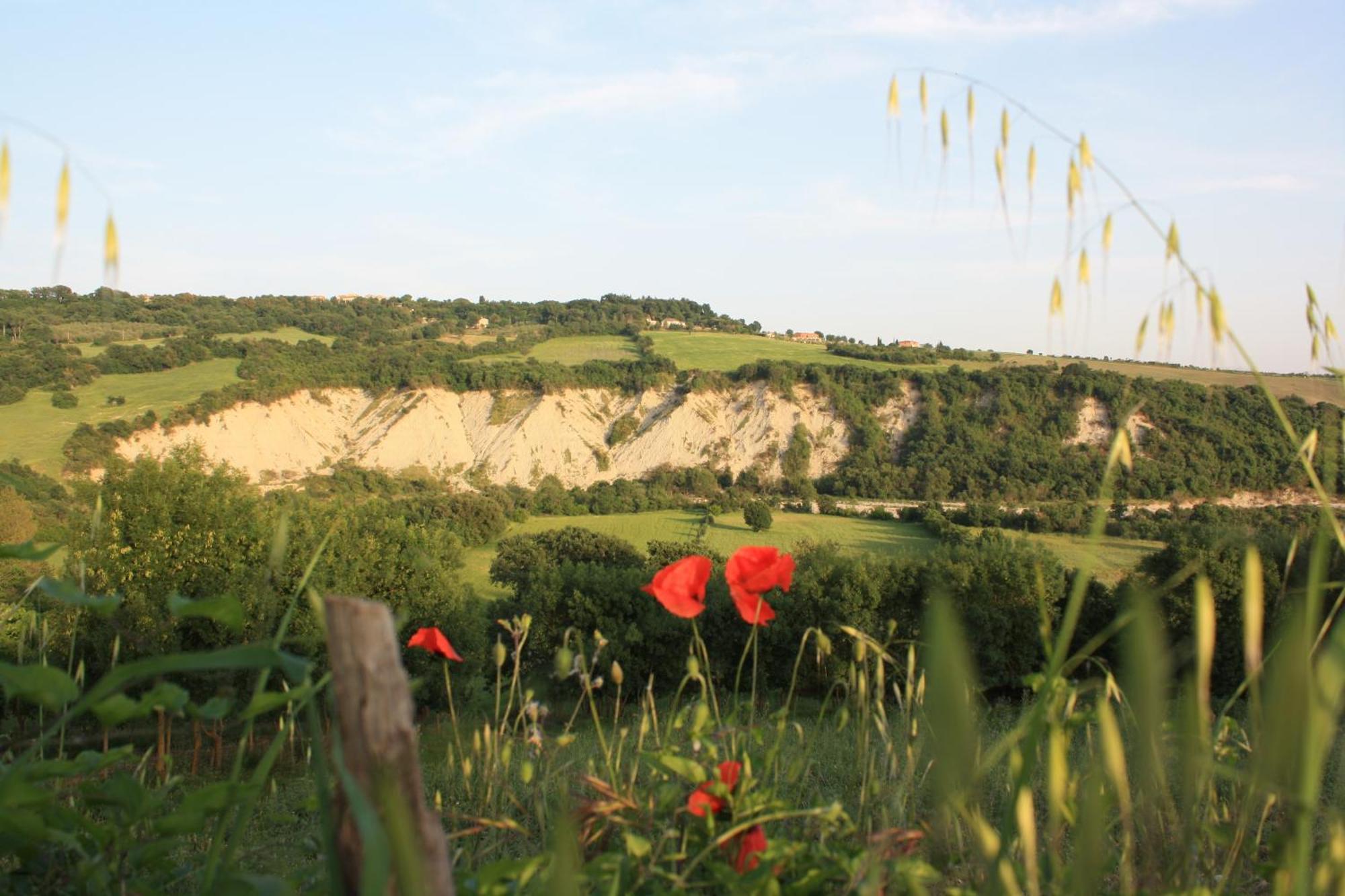 I Sicomori - Seme Di Carota - Glamping E Appartamenti Con Piscina A Saturnia Luaran gambar