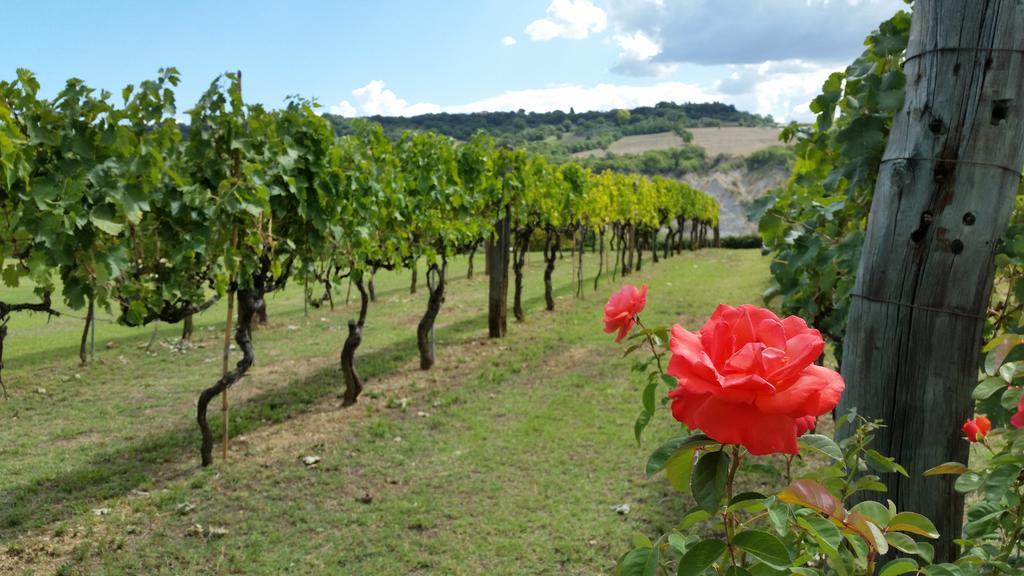 I Sicomori - Seme Di Carota - Glamping E Appartamenti Con Piscina A Saturnia Luaran gambar