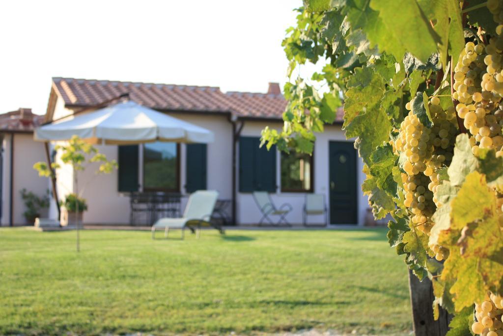 I Sicomori - Seme Di Carota - Glamping E Appartamenti Con Piscina A Saturnia Luaran gambar